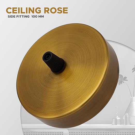 Yellow Brass Ceiling Rose Single Point Drop~3094
